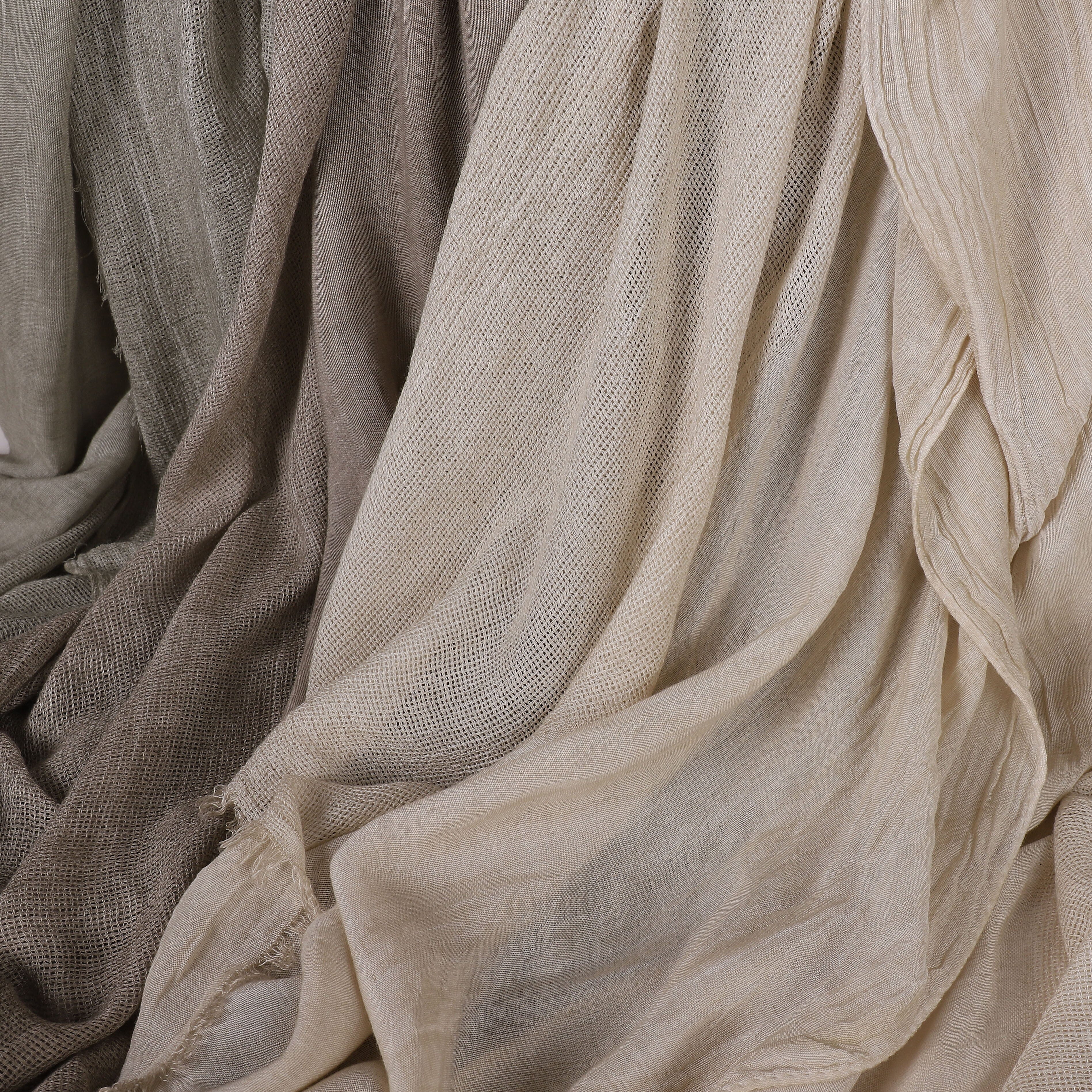 Nus Net - Nus Thailandy