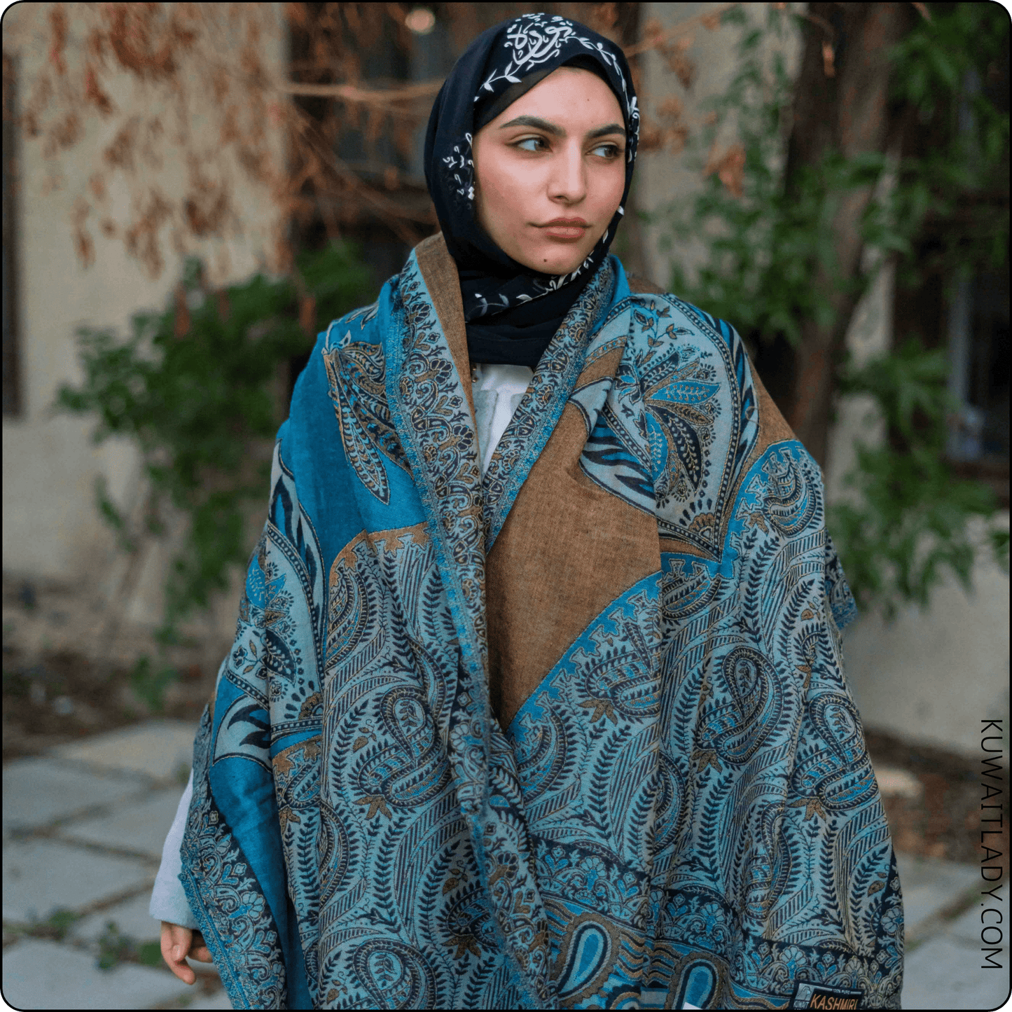 Enchanting Kashmiri Shawl