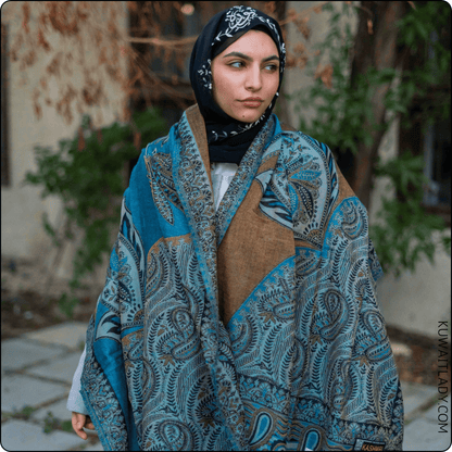 Enchanting Kashmiri Shawl