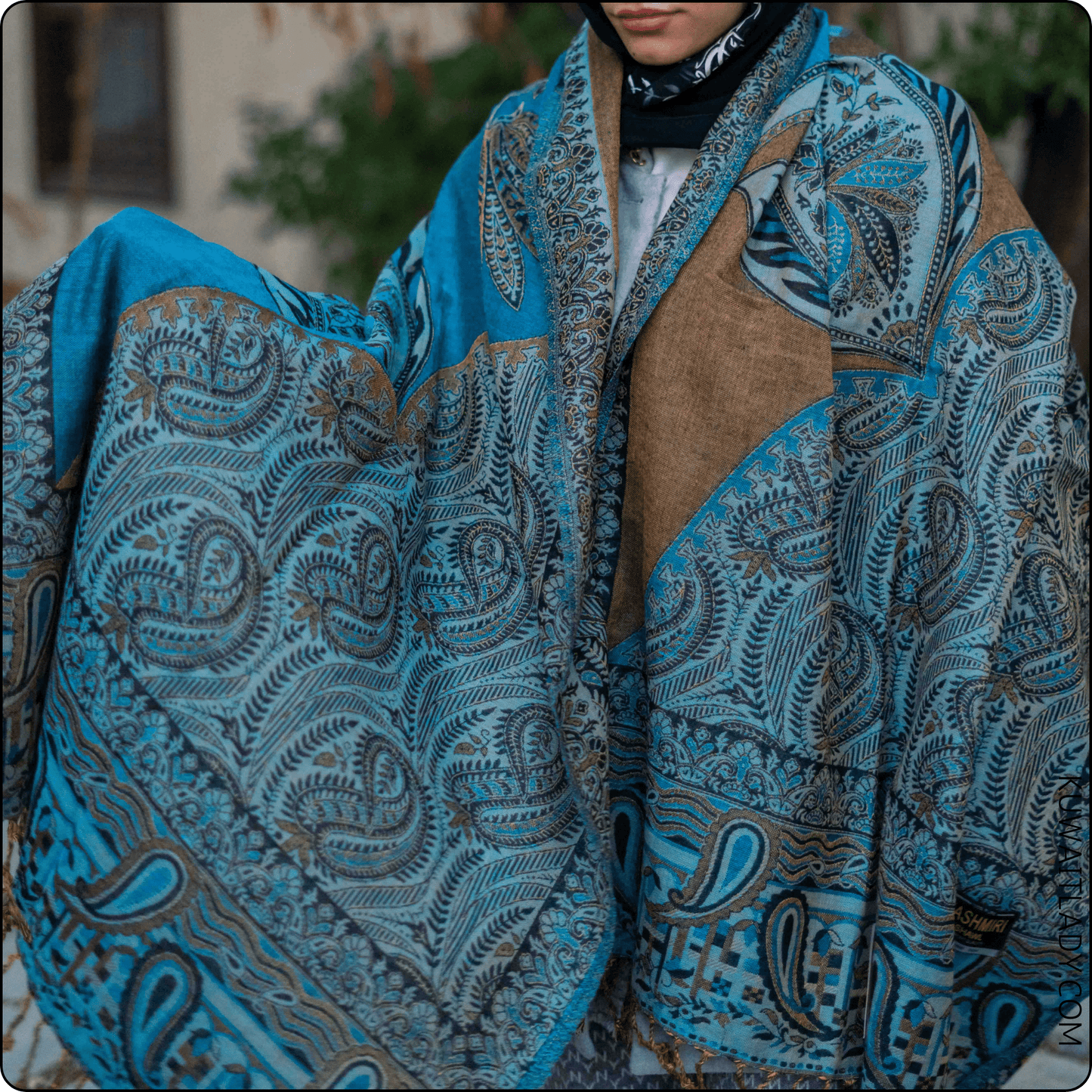 Enchanting Kashmiri Shawl